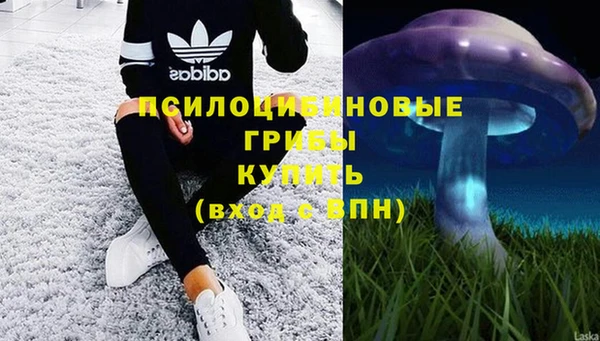 стаф Сосновка