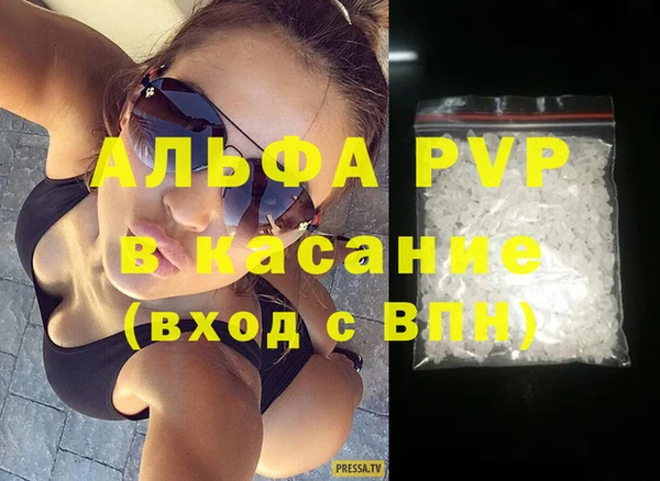 ПСИЛОЦИБИНОВЫЕ ГРИБЫ Богданович
