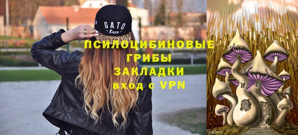 сатива Богородицк
