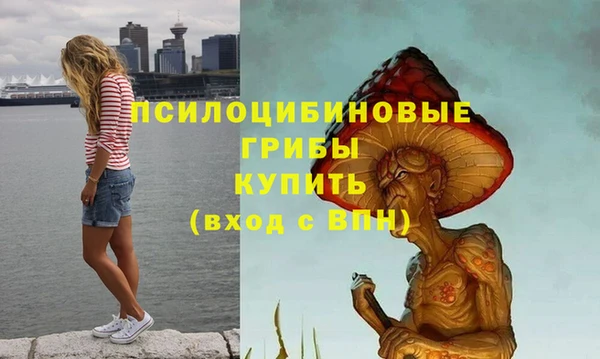 сатива Богородицк