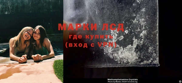ПСИЛОЦИБИНОВЫЕ ГРИБЫ Богданович