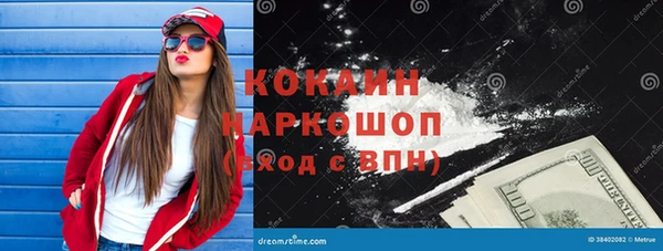 ПСИЛОЦИБИНОВЫЕ ГРИБЫ Богданович