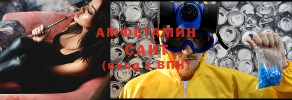 ПСИЛОЦИБИНОВЫЕ ГРИБЫ Богданович